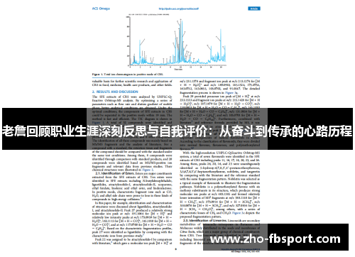 老詹回顾职业生涯深刻反思与自我评价:从奋斗到传承的心路历程 老詹回顾职业生涯深刻反思与自我评价:从奋斗到传承的心路历程