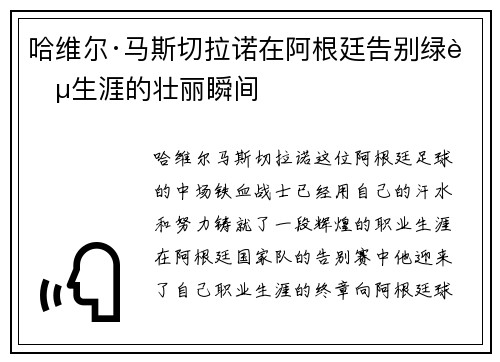 哈维尔·马斯切拉诺在阿根廷告别绿茵生涯的壮丽瞬间 哈维尔·马斯切拉诺在阿根廷告别绿茵生涯的壮丽瞬间