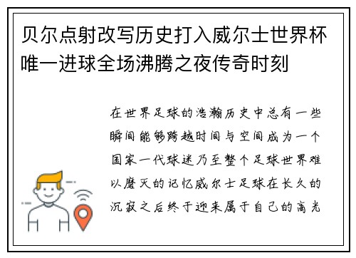 贝尔点射改写历史打入威尔士世界杯唯一进球全场沸腾之夜传奇时刻