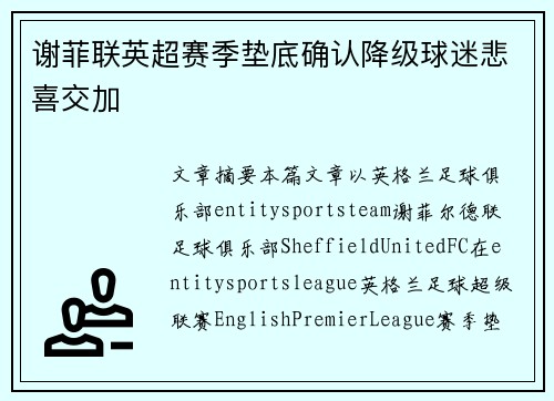 谢菲联英超赛季垫底确认降级球迷悲喜交加